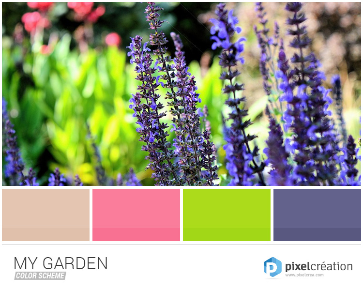 Les couleurs du jardin - nuancier couleur