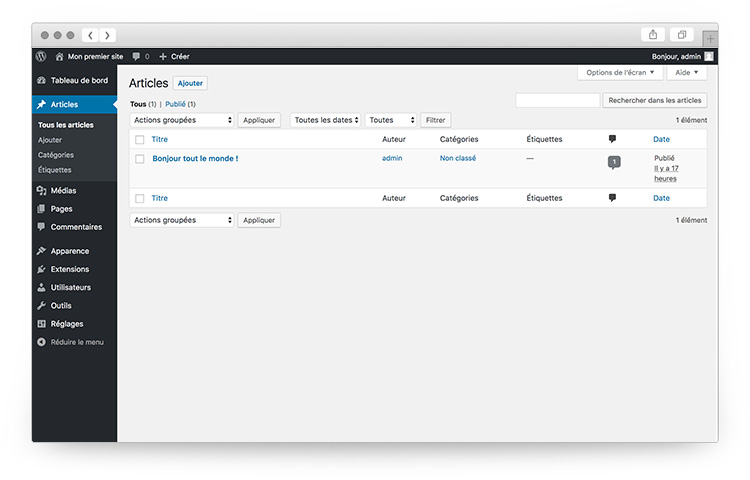 articles dans l'administration de Wordpress