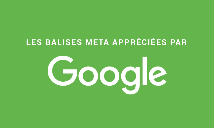 Les balises META appréciées par Google