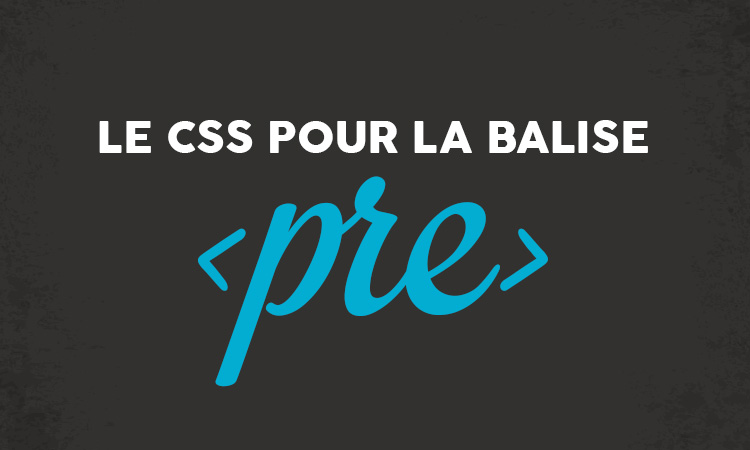 Le CSS associé à la balise HTML pre
