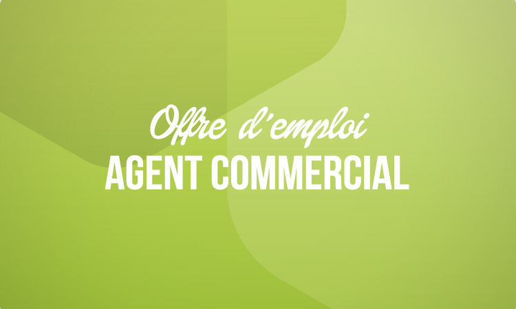 PixelCréation s'agrandit et recherche un agent commercial