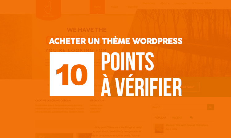 10 points à vérifier avant d’acheter un thème Wordpress