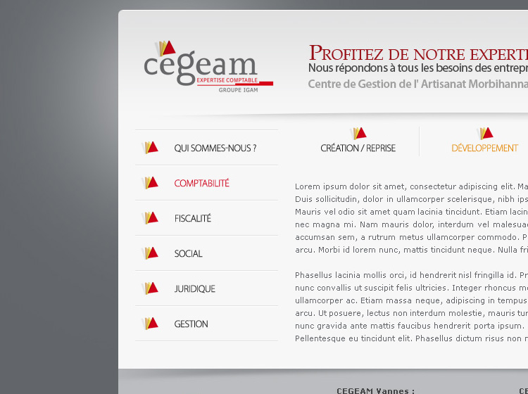 Site internet de Cegeam