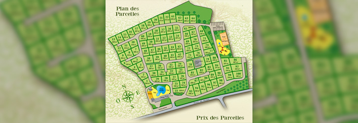 Plan global de l'illustration