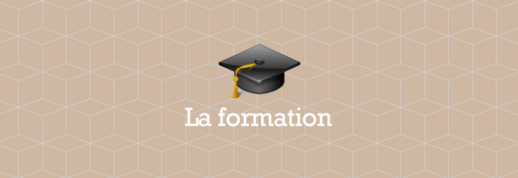 Budget pour la formation individuelle