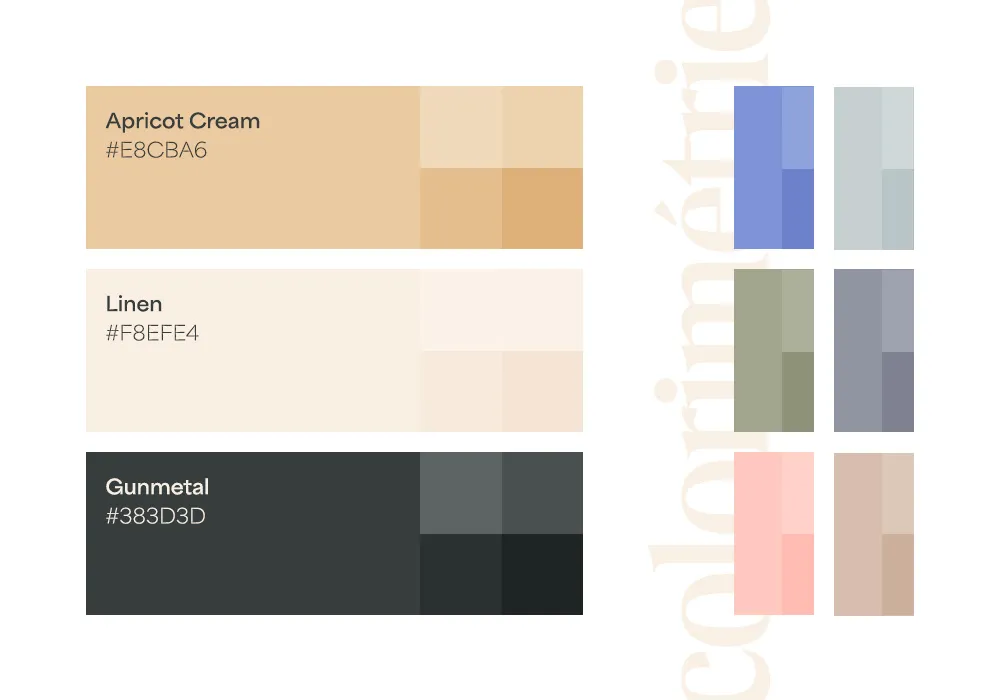 Colorimétrie et palette de couleurs