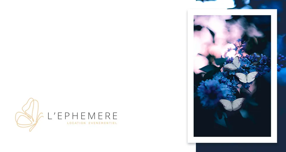 Brochure et conception graphique